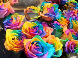 Flower cool flowers 3d abstract vector designs cute creative graphics vector lamborghini beach purple. Girls And Flowers Wallpapers Wallpaper Cave