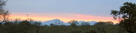 Kruger national park has something for everyone. Kruger National Park Wikitravel