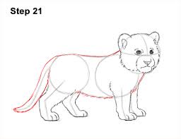 Tiger drawing for kids and beginners. Baby Cartoon Tiger Drawing Drawing For Kids Adult