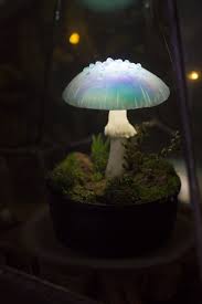 Mushroom Lamp By Thesnowmade Mushroom Lights Glowing Mushrooms Mushroom Lamp