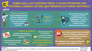 Te explicamos qué es la actitud, cómo se clasifica y por qué adoptamos distintas actitudes. Facebook