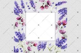 purple lavender frame flowers watercolor png watercolorpng purple lavender frame flowers watercolor png
