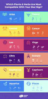 They can create the life that they want where they feel safe. Which Plants Herbs Are Most Compatible With Your Star Sign Wishing Moon