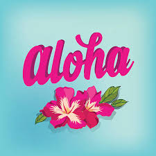 20,700+ Aloha Stock Photos, Pictures & Royalty-Free Images - iStock |  Hawaii aloha, Hawaii, Hawaiian