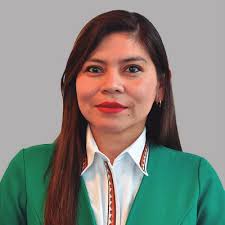 Conozca los resultados oficiales de las Elecciones Judiciales 2024