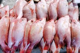 Resep ikan bakar rica rica ikan kakap merah cabe besar bawang merah bawang putih garam secukupnya sambel mentah tomat. 10 Tips Memasak Ikan Kakap Biar Rasanya Lebih Nikmat Dan Gurih