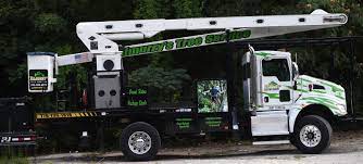 Maybe you would like to learn more about one of these? Home Kilmurry S Tree Service