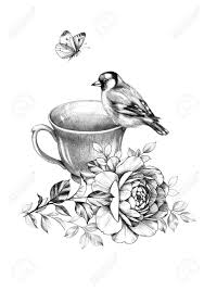 Imagine replicating your flowers in the form of flower drawings! Hand Drawn Cup Of Tea Sitting Goldfinch Flying Butterfly And Stock Photo Picture And Royalty Free Image Image 129197674