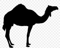 Choose from 110+ camel clip art images and download in the form of png, eps, ai or psd. Camel Silhouette Royalty Free Clip Art Png 1280x1024px Camel Arabian Camel Art Black And White Camel