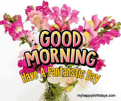 We did not find results for: 200 Beautiful Good Morning Wishes With Roses Flowers Hd