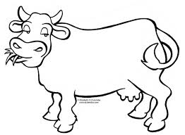 Belajar mewarnai gambar belajar menggambar belajar mengenal binatang belajar anak untuk visualisasi. Belajar Mewarnai Gambar Sapi Bagi Info