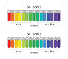 ph scale of acidic neutral and alkaline value chart for acid