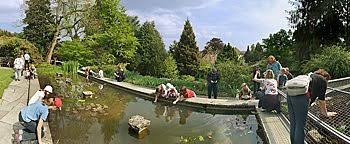 Fotografía de botanischer garten, bielefeld: Botanischer Garten Bielefeld Panoramen