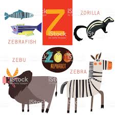 Cute Zoo Alphabet In Vector Z Letter Funny Cartoon Animals Royalty Free Cute Zoo Alphabet In Vectorz Letter Funny Carto Alphabet Design Alphabet Funny Cartoon