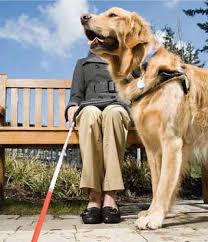 Camilla Di Pace, giovane coraggiosa di Latina e il suo amato e  indispensabile cane guida, siamo con te!