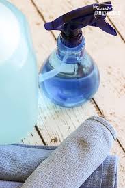 Homemade Window Cleaner Favorite Family Recipes