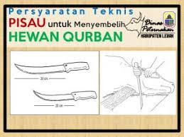 Pengulitan kambing dengan cutter dilanjutkan sembelihan tarik dgn pisau 13 cmподробнее. Persyaratan Teknis Pisau Untuk Menyembelih Hewan Qurban Dinas Peternakan Kabupaten Lebak
