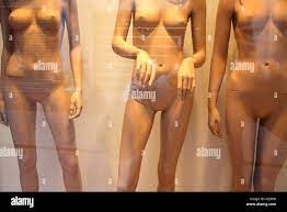 Nackte Frau in einem Fenster ein Kleidungsgeschäft in Arnheim Niederlande  Stockfotografie - Alamy