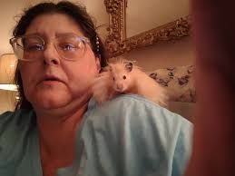 How's your day going?