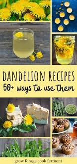 50 Dandelion Recipes Drinks Sweets Soap Remedies More In 2020 Dandelion Recipes Dandelion Beer Recipe Wild Food