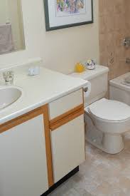 4 Ideas Update European Style Melamine Cabinets 1980 S And 90 S Melamine Cabinets Kitchen Cabinet Inspiration Update Kitchen Cabinets