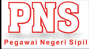 Hasil gambar untuk pns