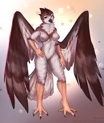 Albino red tail hawk