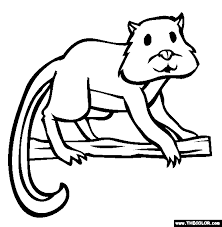 And baby lemur coloring color luna, king julien the king of lemur coloring king julien the king of click on the coloring page to open in a new window and print. Hamster Lemur Coloring Page Free Hamster Lemur Online Coloring