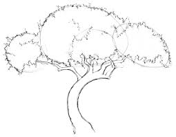 Check spelling or type a new query. Drawing Lesson Tree The Scribbles Institute