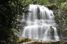 Kubah national park covers 2,230 hectares of mixed dipterocarp forest that is rich in palms, orchids and pitcher plants. Semenggoh Sanctuary And Kubah National Park Kuching Borneo