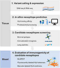 We did not find results for: Tumor Neoantigens From Basic Research To Clinical Applications Journal Of Hematology Oncology Full Text