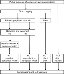 Avoid any hard chewing or biting down on the treated tooth until a more permanent filling or crown has been placed.10. Direct Pulp Capping After A Carious Exposure Versus Root Canal Treatment A Cost Effectiveness Analysis Journal Of Endodontics
