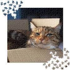 Experts say that challenging puzzles activate new parts of your brain to help you solve them. Amazon Com Custom Personalized Jigsaw Puzzle With Your Personal Square Photo Or Art 650 Pieces Toys Games