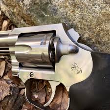 Image result for Grace Silver 1988 Colt