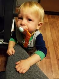 Cute mouse pulling a heavy load