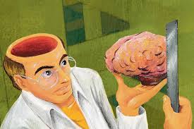 Como a ciência define inteligência?