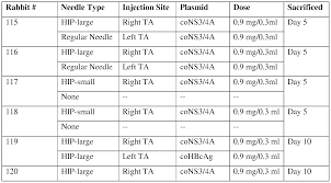 Needle For Injections Chart Related Keywords Suggestions