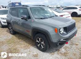 Image result for Sting Gray 2021 Renegade