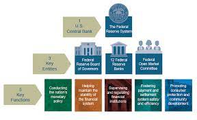 But congress wanted the fed to have 12 regional banks to represent america's diverse regions. Federal Reserve Board Structure Of The Federal Reserve System
