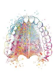 Palace Poster Gift Dentist Teeth Art Medical Art Clinical Etsy Dental Art Teeth Art Dentist Art