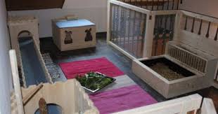 Gehegebilder Tierheim Und Tierschutzzentrum Des Tierschutzverein Leverkusen E V Nordrhein Westfalen Gehege Tierheim Kaninchen