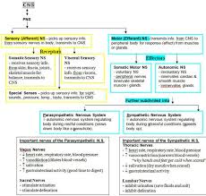 Pin On Physio Help