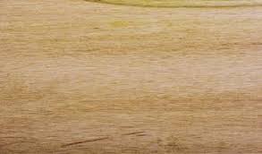 Stain charts are available at the paint counter of most paint and stain stores. Provincial Old Masters