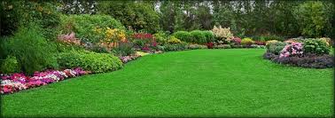 Pin On Landscaping Ideas
