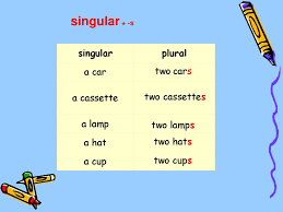 Plurals Ppt Download