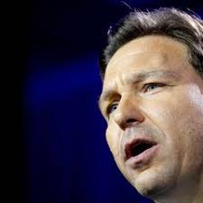 Ella mccarthy News Stories and Articles