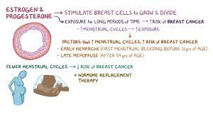 It can be difficult to protect yourself from ovarian cancer after menopause. Breast Cancer Clinical Practice Osmosis