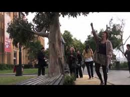 Financial Idiom Stunts The Rabodirect Money Tree Shows Cash Does Grow On Trees Experiential Marketing Guerilla Marketing Money Trees