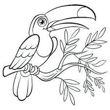 Birds are animals that are part of the fauna of the whole world, there is a great variety of birds, and all of them are characterized by their body covered with feathers and wings to be able to fly, although not all of them can do it. Birds Free Printable Coloring Pages For Kids Bird Coloring Pages Cartoon Coloring Pages Animal Coloring Pages
