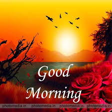 Check spelling or type a new query. 63 Beautiful Good Morning Images Gif Download Cute Pictures Photo Media